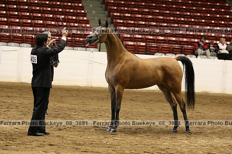 Proof buckeye_08_3881