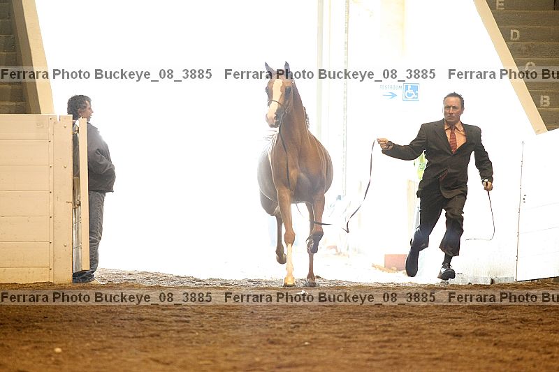 Proof buckeye_08_3885
