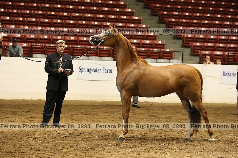 Proof buckeye_08_3893