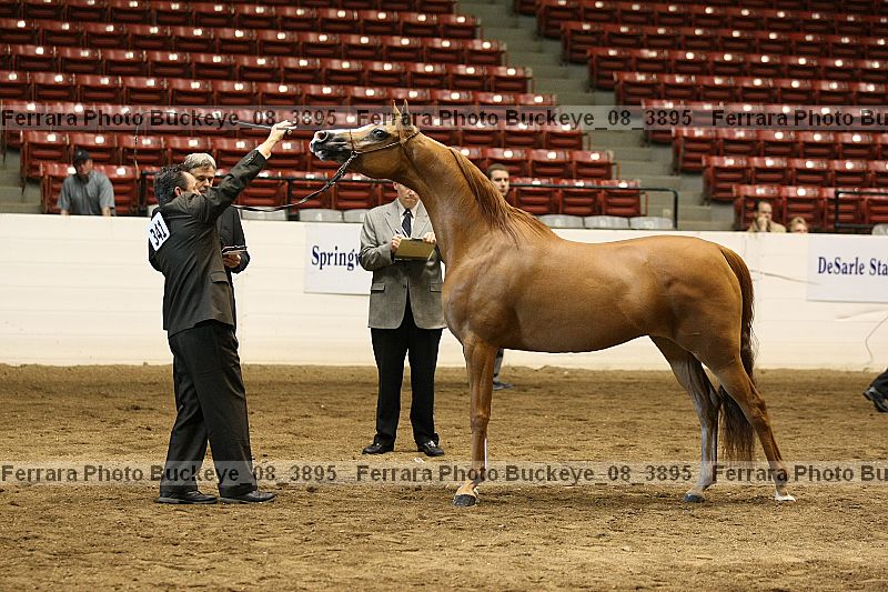 Proof buckeye_08_3895