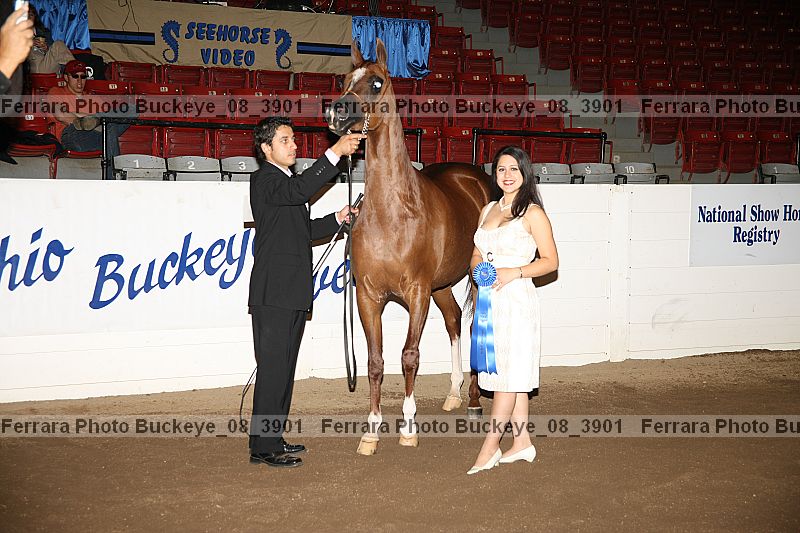 Proof buckeye_08_3901