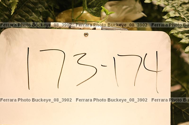 Proof buckeye_08_3902
