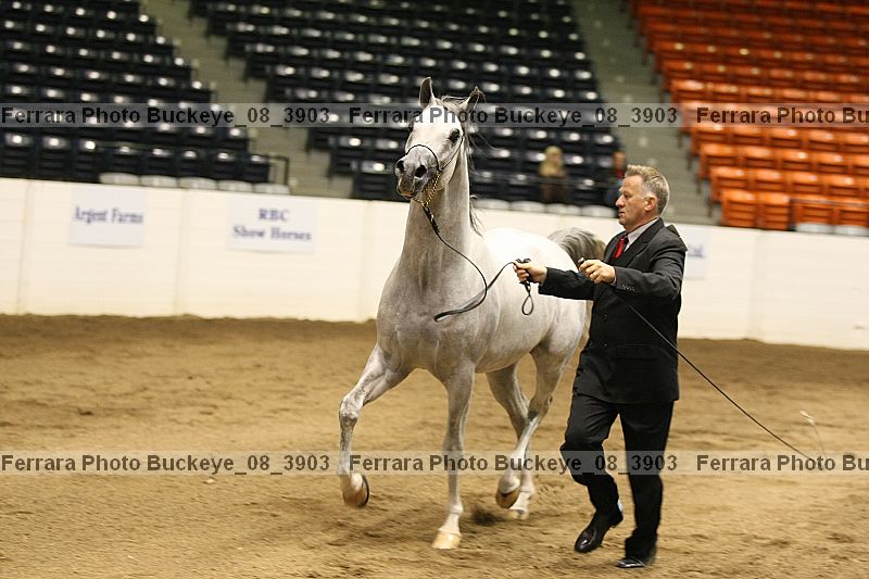 Proof buckeye_08_3903