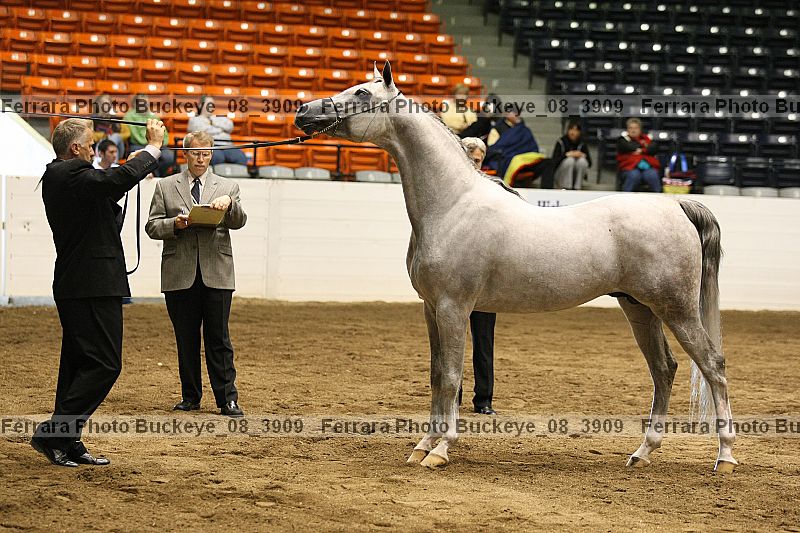 Proof buckeye_08_3909