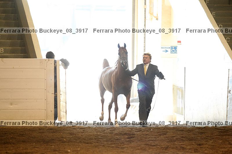 Proof buckeye_08_3917