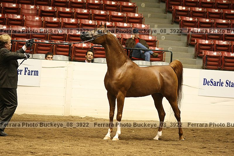 Proof buckeye_08_3922