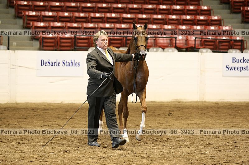 Proof buckeye_08_3923