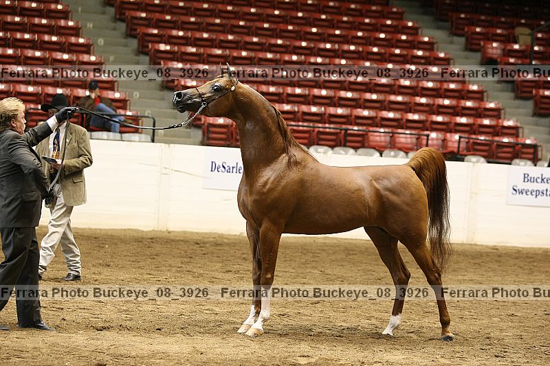 Proof buckeye_08_3926