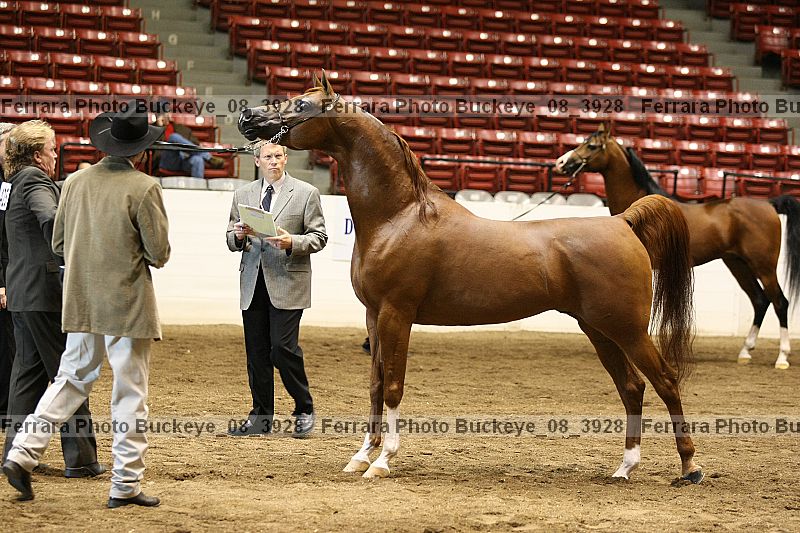 Proof buckeye_08_3928