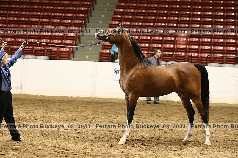 Proof buckeye_08_3933