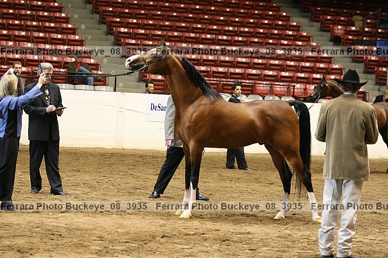 Proof buckeye_08_3935