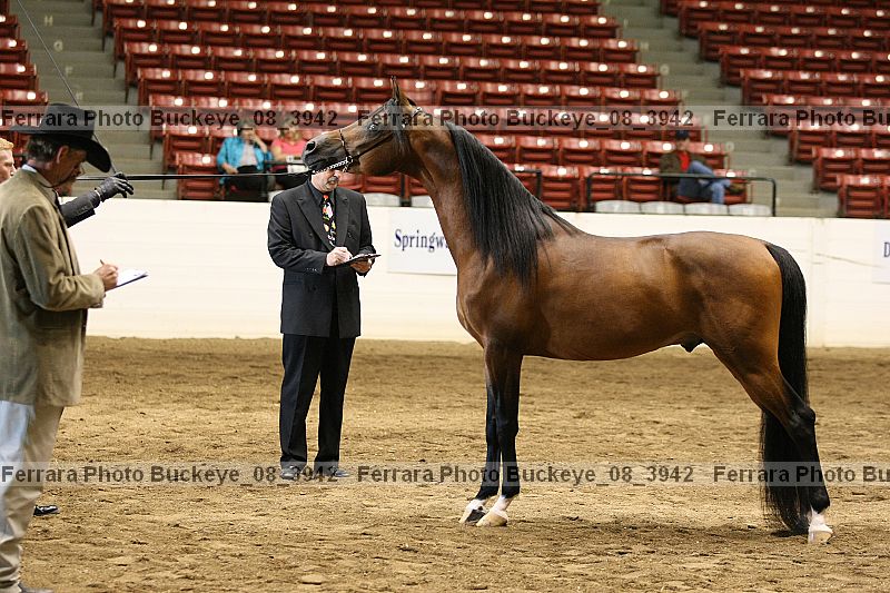 Proof buckeye_08_3942
