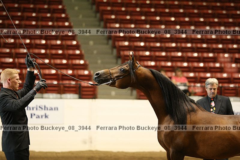 Proof buckeye_08_3944