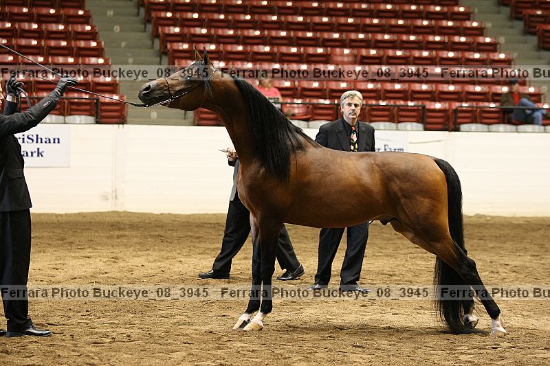 Proof buckeye_08_3945