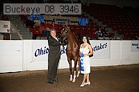 buckeye_08_3946 proof