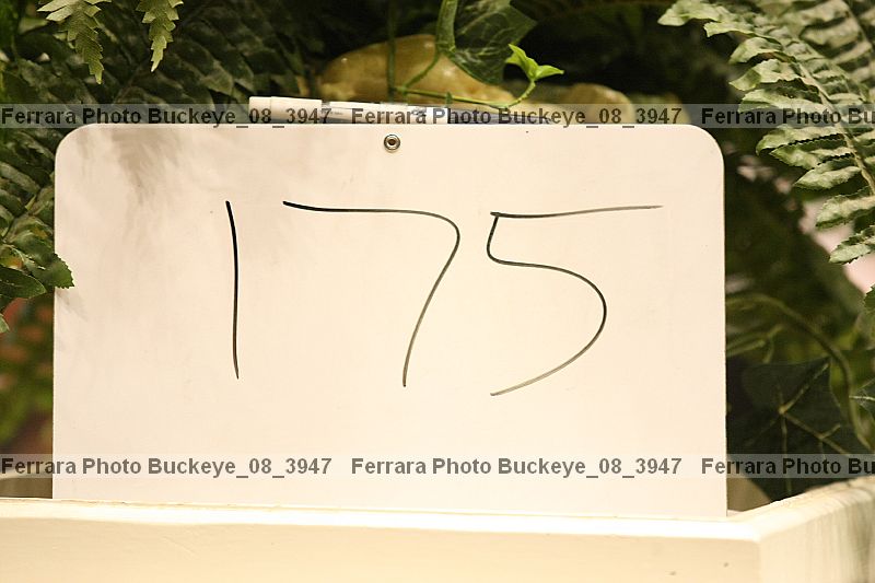 Proof buckeye_08_3947