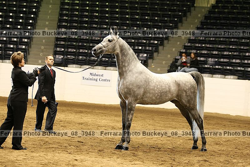 Proof buckeye_08_3948