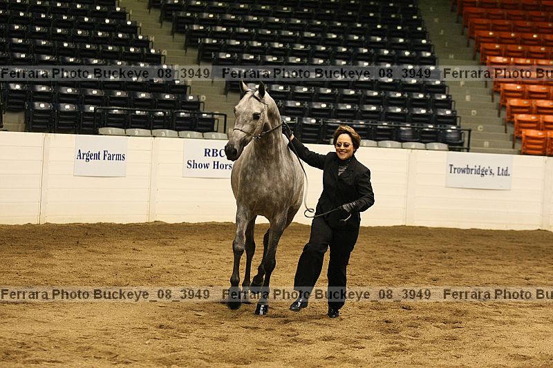 Proof buckeye_08_3949