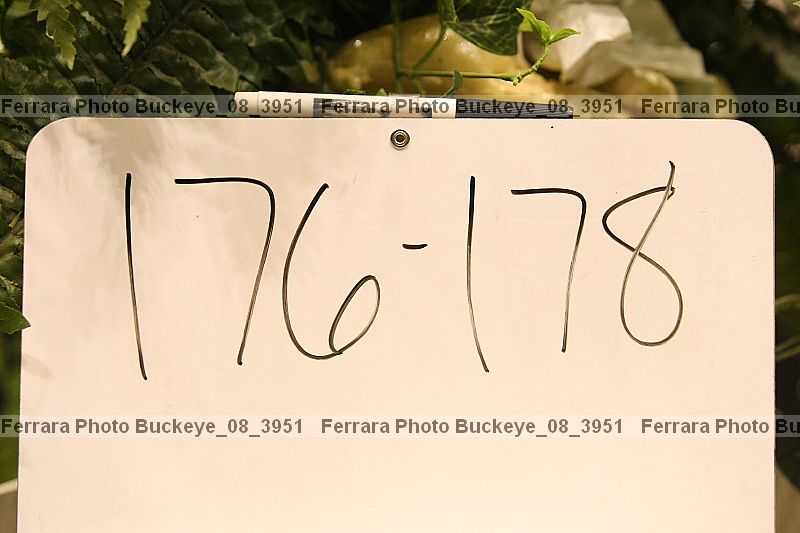 Proof buckeye_08_3951