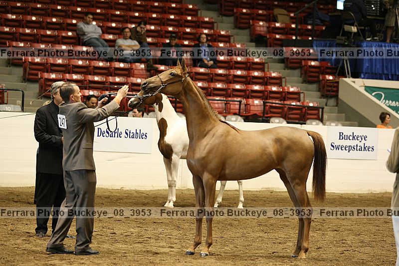 Proof buckeye_08_3953