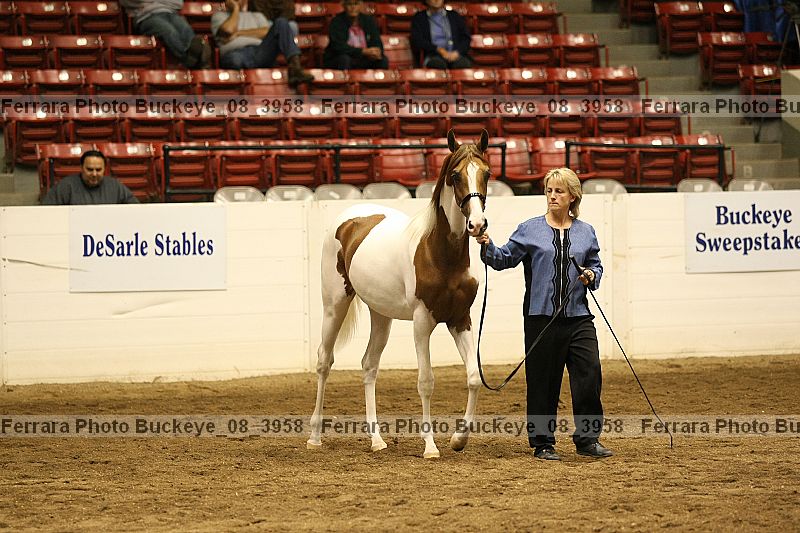 Proof buckeye_08_3958