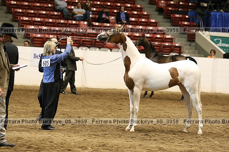 Proof buckeye_08_3959