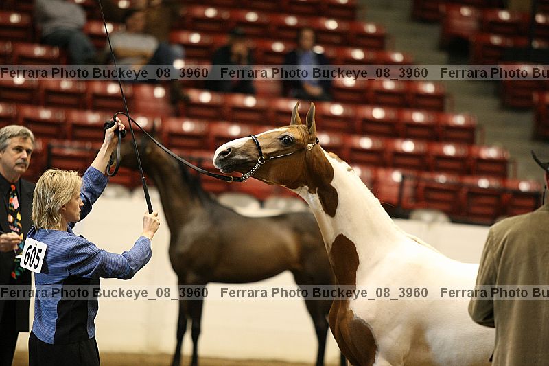 Proof buckeye_08_3960