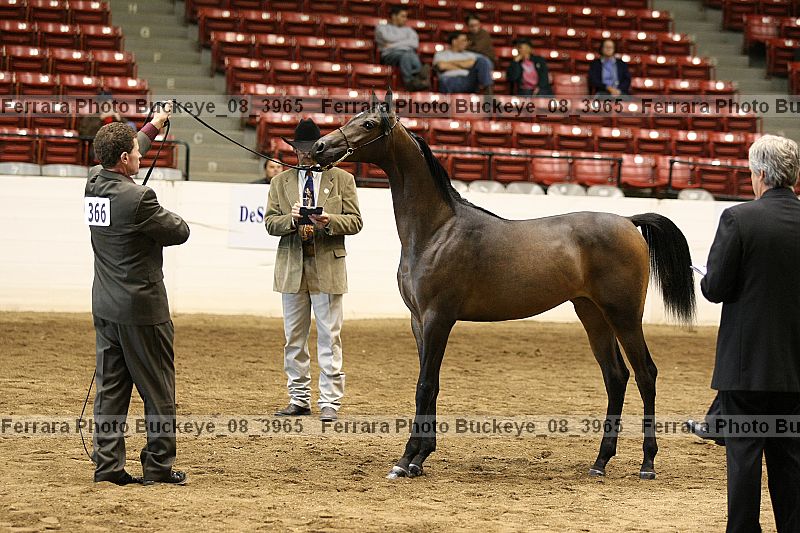 Proof buckeye_08_3965