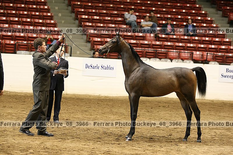 Proof buckeye_08_3966