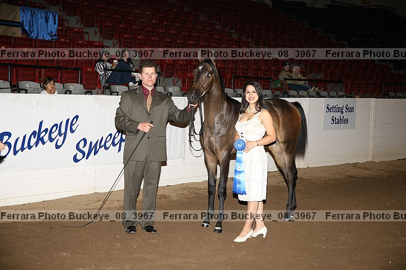 Proof buckeye_08_3967
