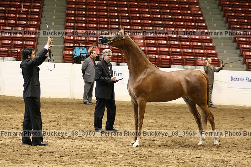 Proof buckeye_08_3969
