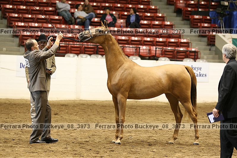 Proof buckeye_08_3973