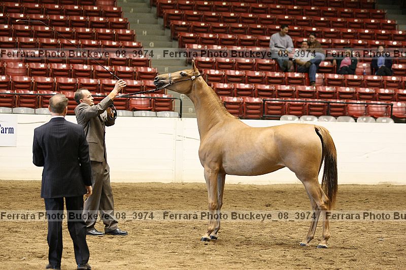 Proof buckeye_08_3974