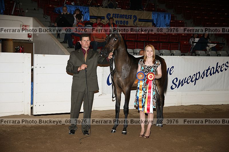 Proof buckeye_08_3976