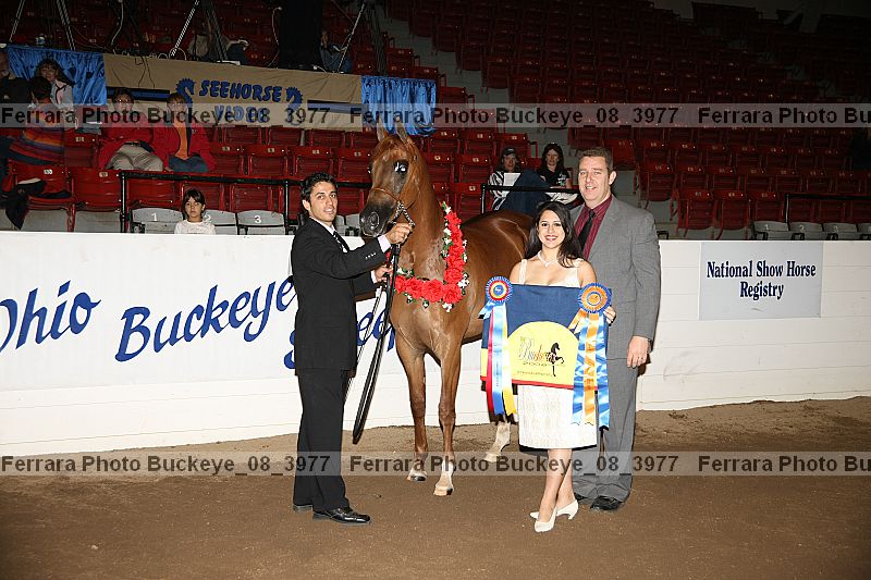 Proof buckeye_08_3977