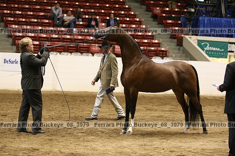 Proof buckeye_08_3979