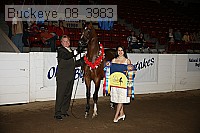 buckeye_08_3983 proof