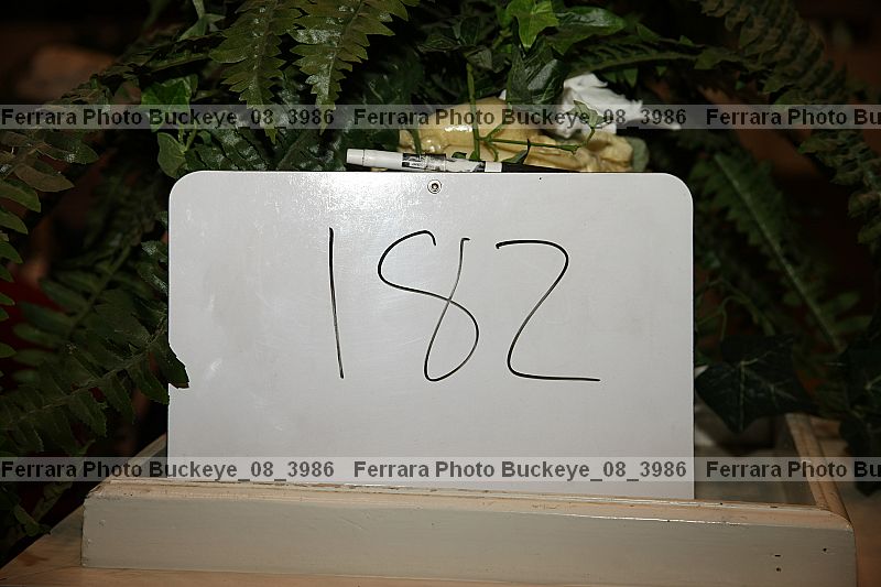 Proof buckeye_08_3986