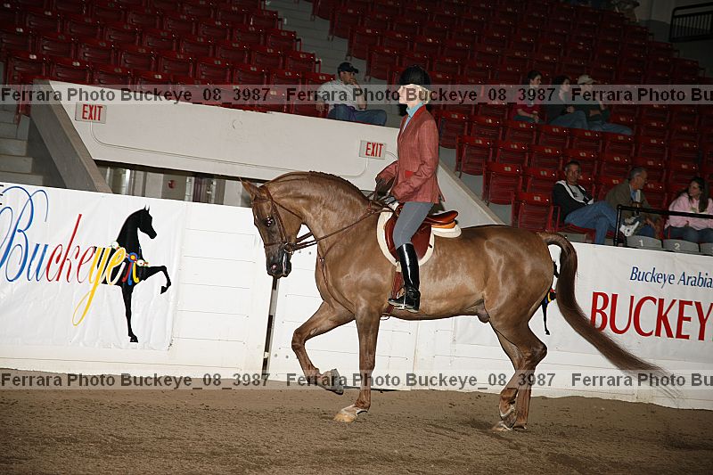 Proof buckeye_08_3987