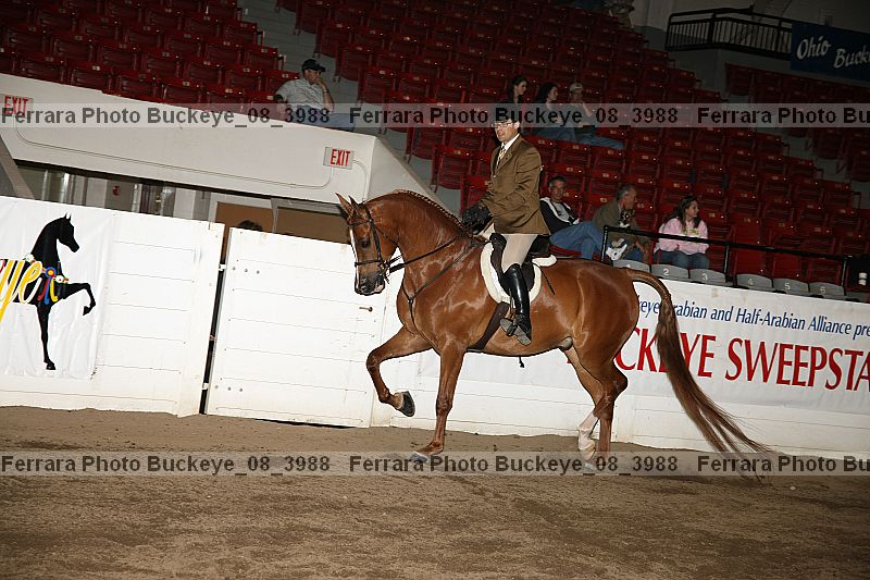 Proof buckeye_08_3988