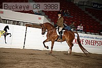 buckeye_08_3988 proof
