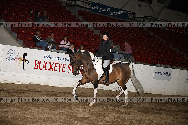 Proof buckeye_08_3990