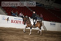 buckeye_08_3990 proof