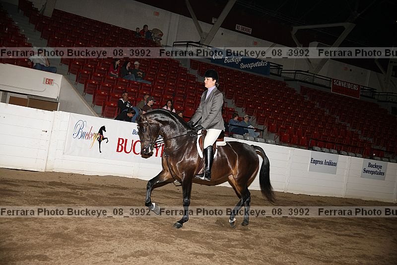 Proof buckeye_08_3992