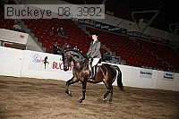 buckeye_08_3992 proof