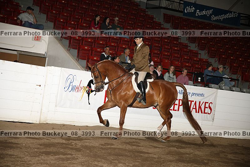 Proof buckeye_08_3993