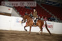 buckeye_08_3993 proof