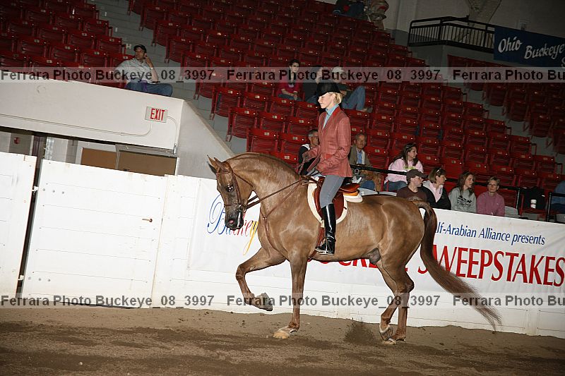 Proof buckeye_08_3997