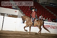 buckeye_08_3997 proof