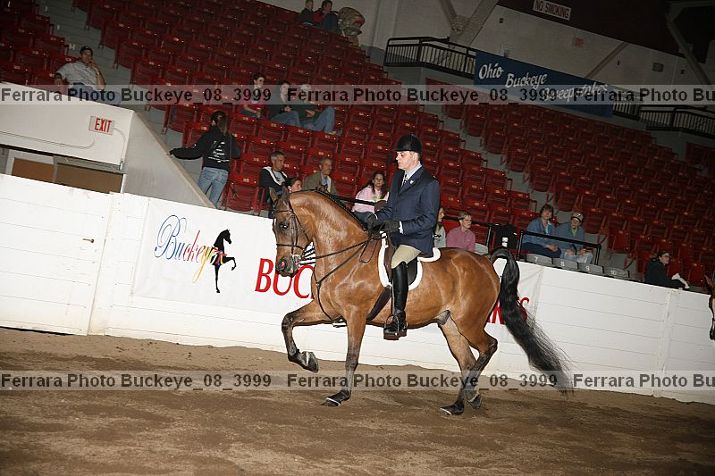 Proof buckeye_08_3999